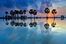 Cần Thơ - Châu Đốc - Tâm Linh Vùng Thất Sơn - Khám Phá Rừng Tràm Trà Sư